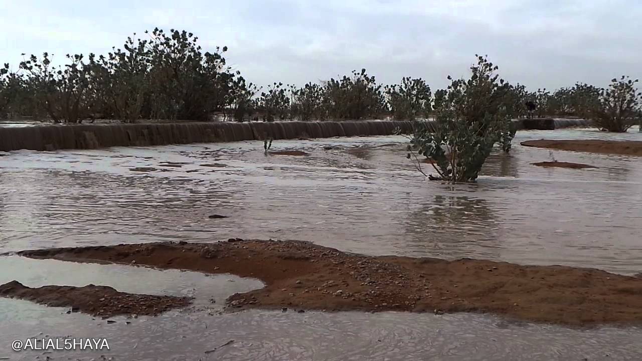 وادي مرخ يوم الاثنين 2-2-1436هـ شرق مدينة الزلفيHD