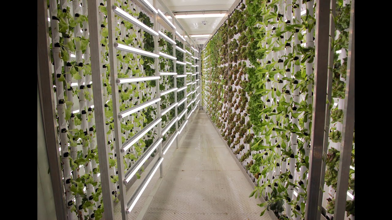 FarmBox Foods - Who We Are and What We Do