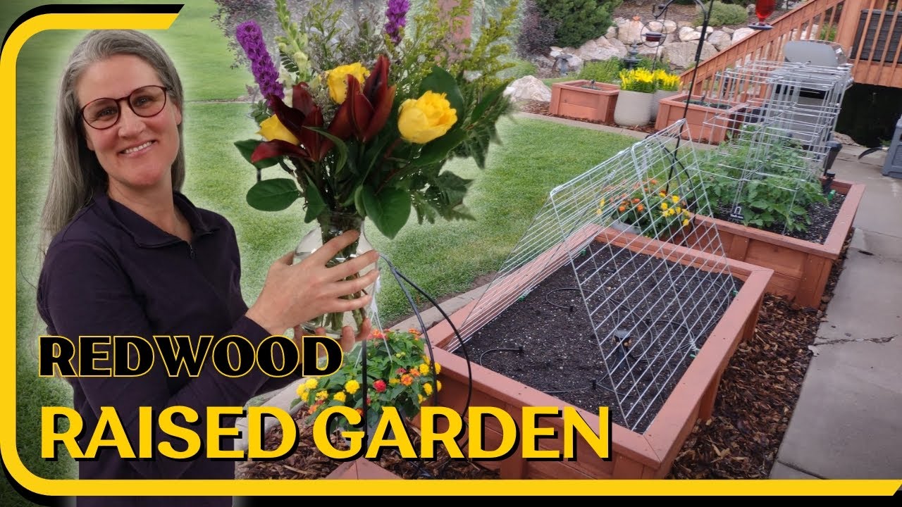 HOW TO BUILD REDWOOD RAISED GARDEN BOXES