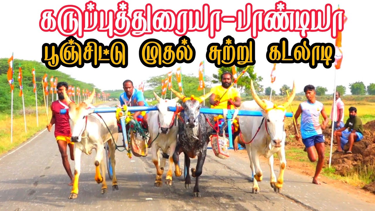 2 இராமநாதபுரம் மாவட்டம் கடலாடி பூஞ்சிட்டு 2-ம் சுற்று 25-01-2026