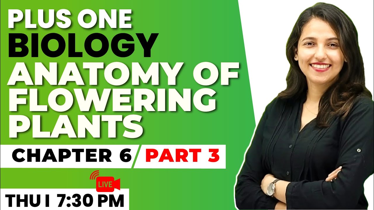 Plus One Biology | Anatomy of Flowering Plants Part 3| Chapter 6 | Exam Winner