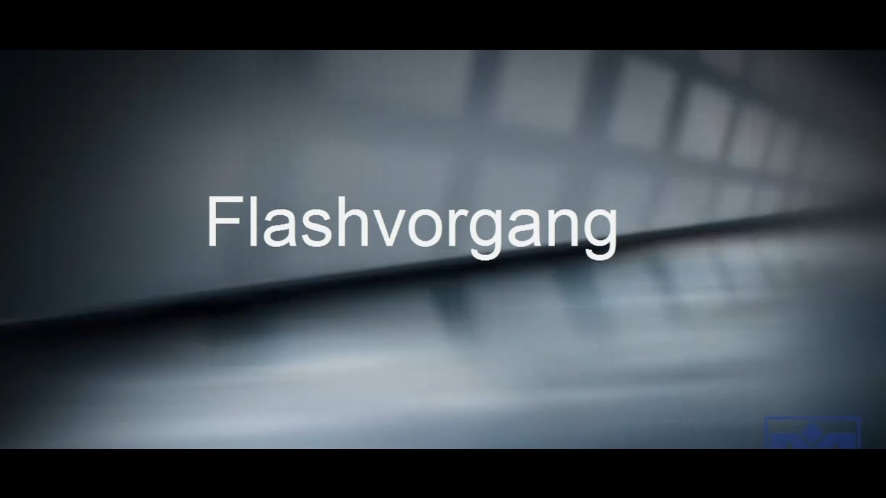 03 - MRS Developers Studio Tutorial - Flashvorgang