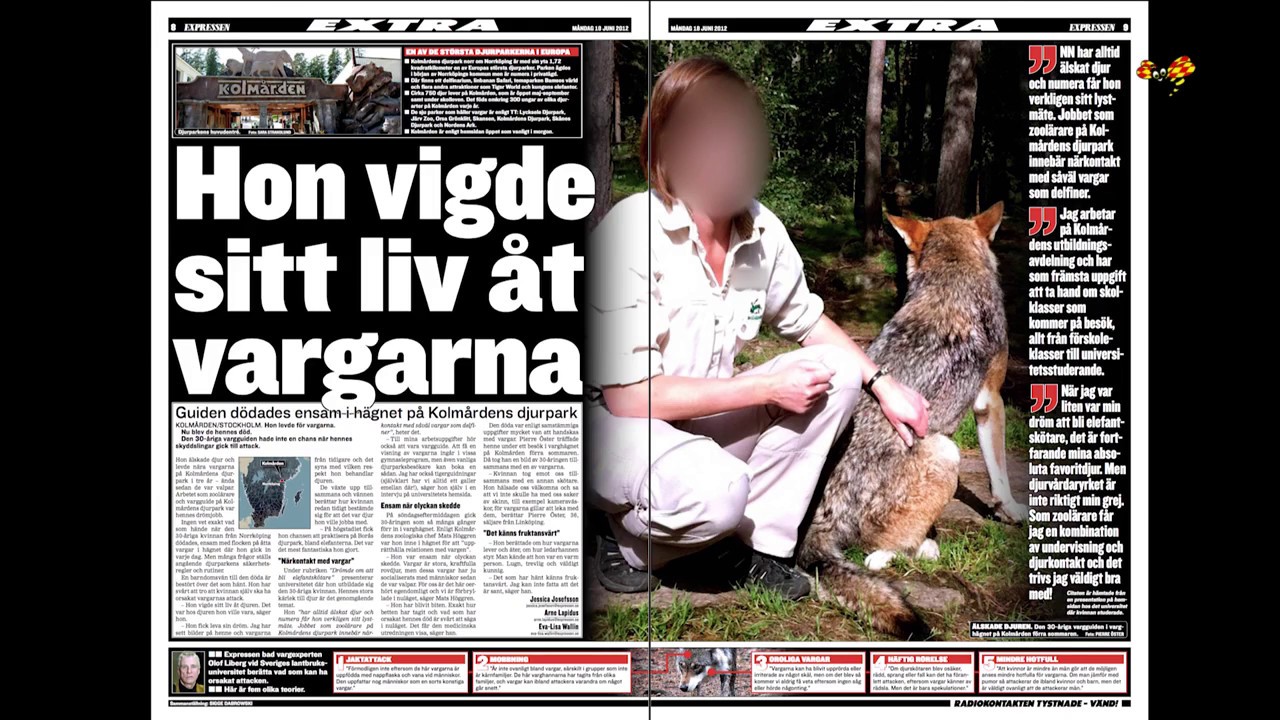 Han döms för vargattacken på Kolmården