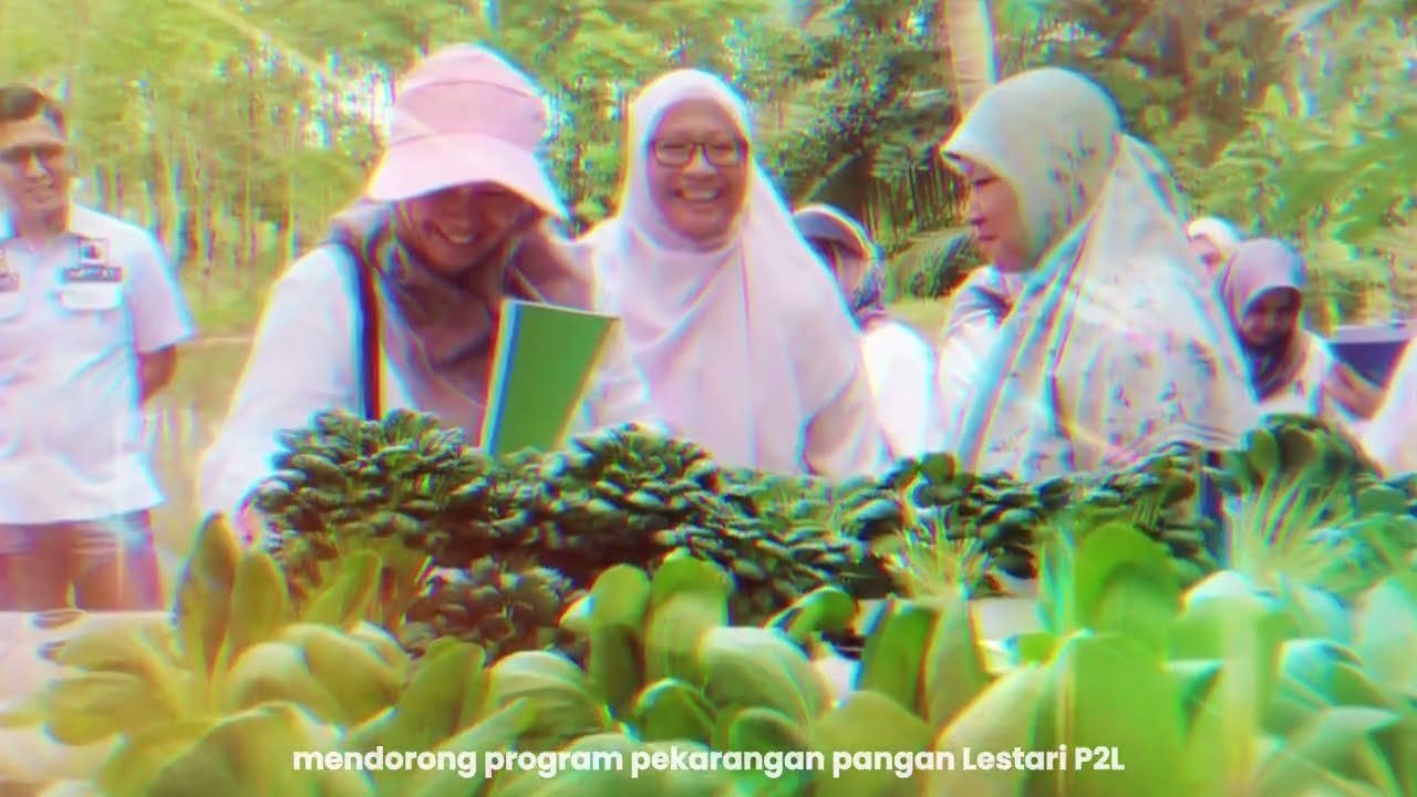 SEMANGAT GERAKAN PANGAN MURAH  - ALBERT MIDIANTO AMAD, ST., M Si DKPP PALEMBANG