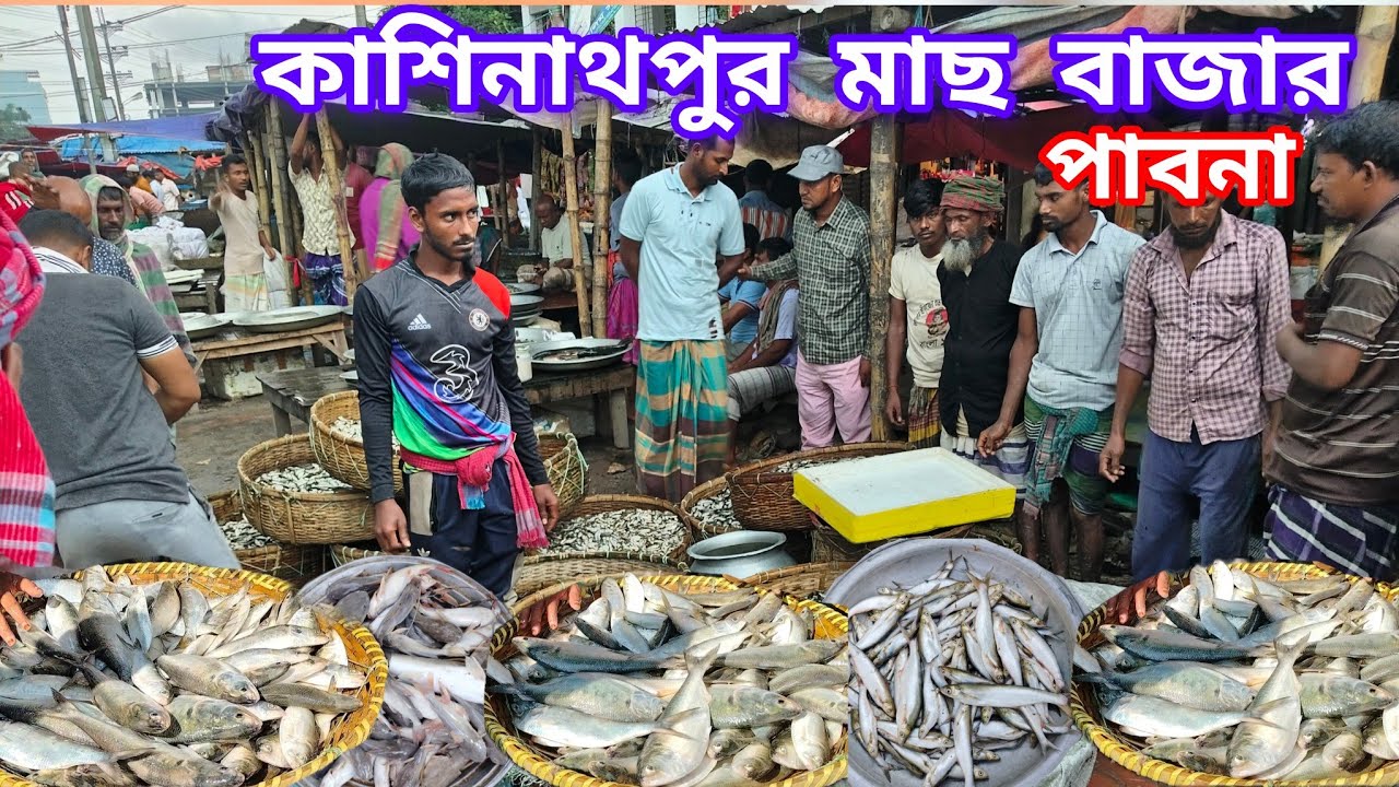 পদ্মা নদীর টাটকা মাছের অসাধারণ বাজার। River Fish Market 