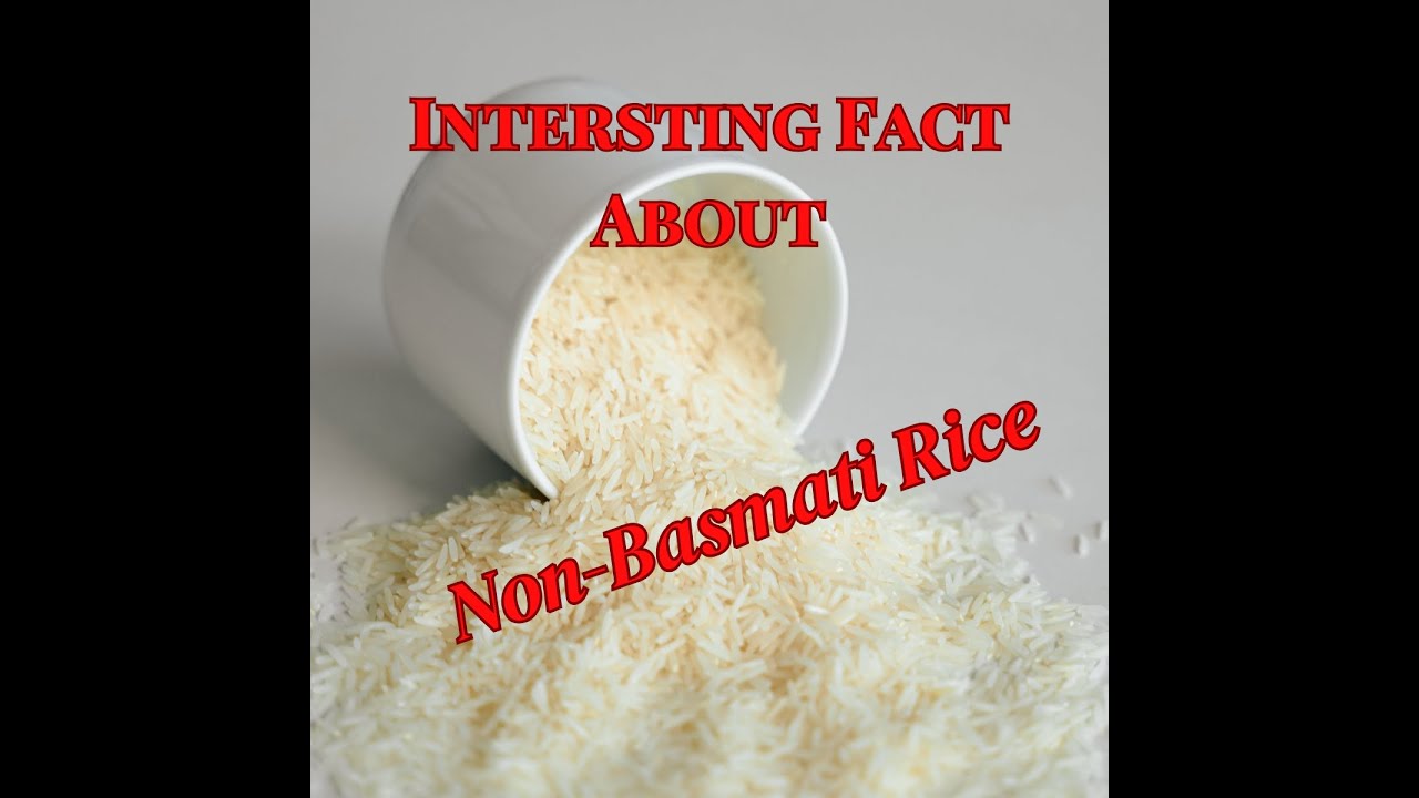 Unveiling The Hidden Wonders Of Non-Basmati Rice I Exploring Non-Basmati Rice I