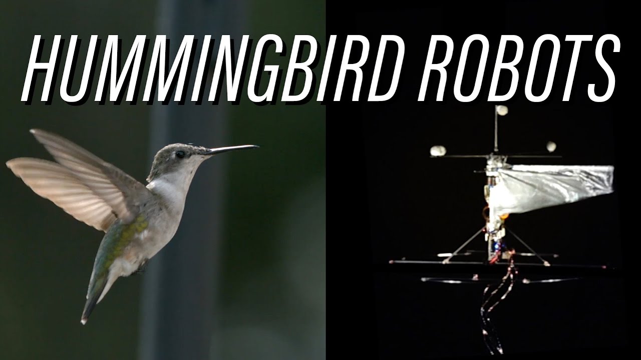 Hummingbird Robots: Naturally Intriguing