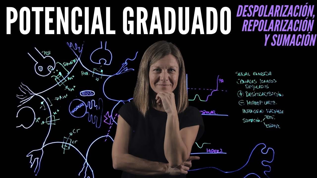 💥POTENCIAL GRADUADO o RECEPTOR🧠