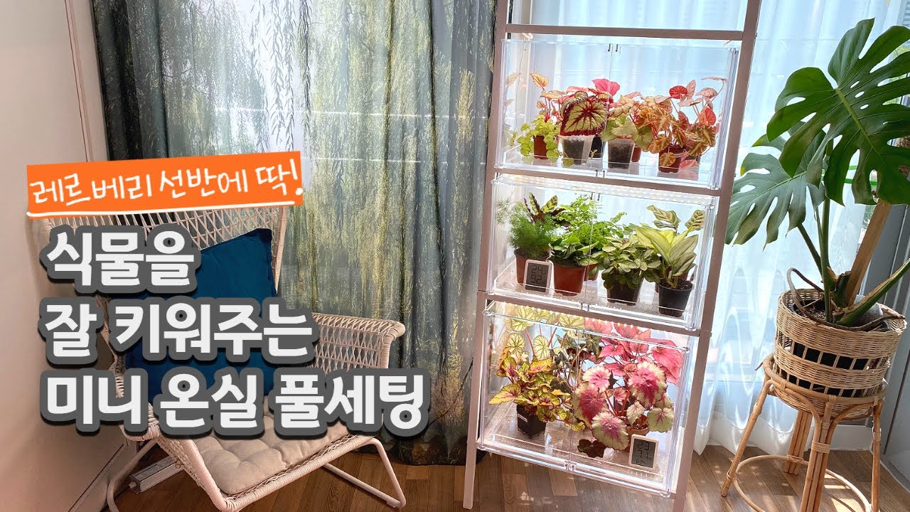 이케아 레르베리 선반에 딱 맞는 미니 온실 풀세팅 #온실공동구매 (23.5.1~5.7)