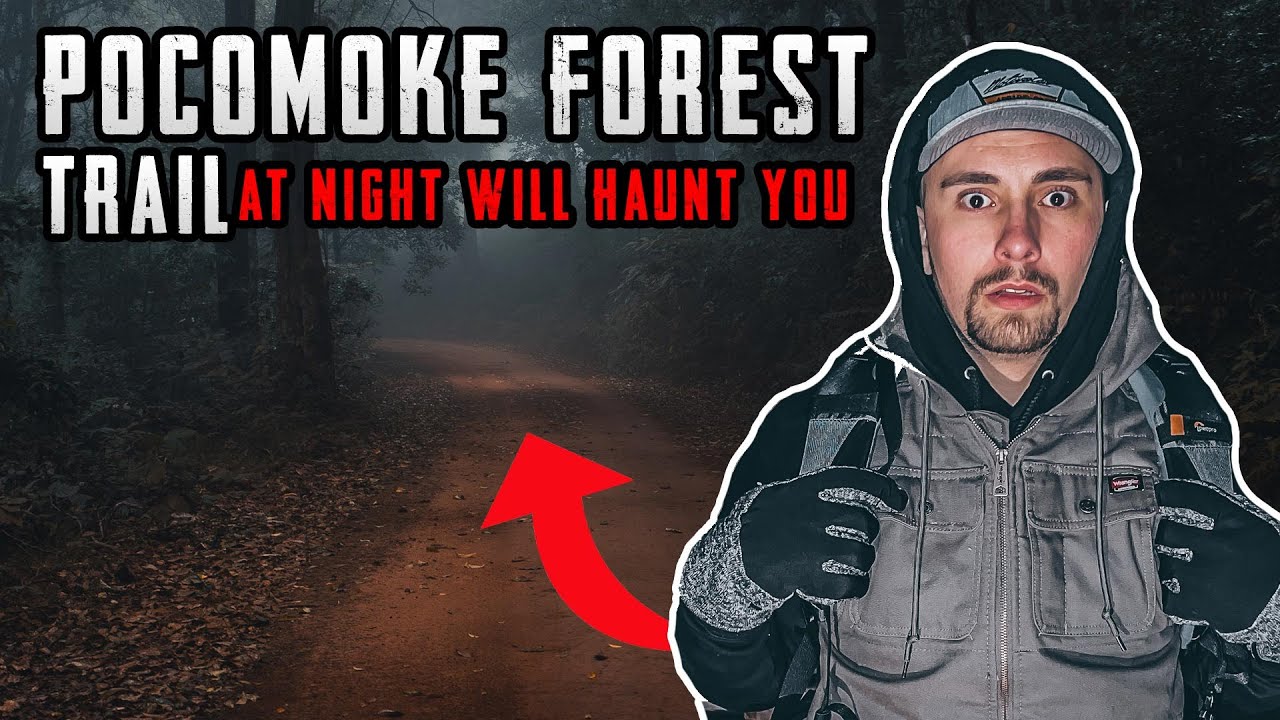 THIS TRAIL INSIDE POCOMOKE FOREST WILL HAUNT YOU