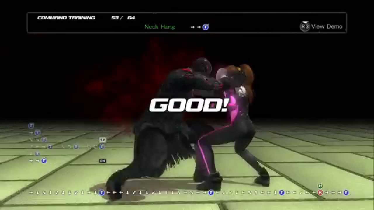 Dead or Alive 5 Last Round - Raidou Command Training