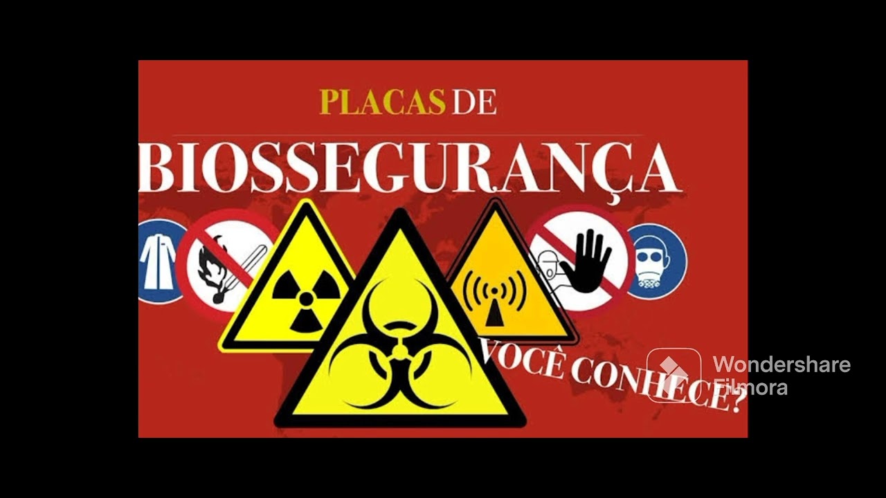 Bioseguran&ccedil;a