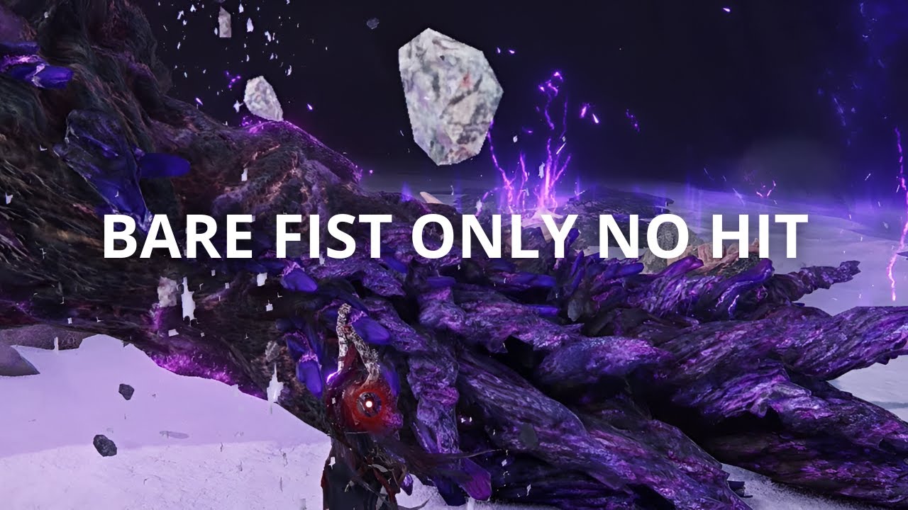 Everdark Adel Bare Fist Only No Hit | ELDEN RING NIGHTREIGN