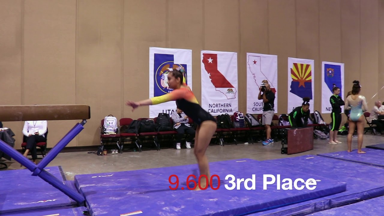 Sydney Gonzales Regional Championships 2018 Wildfire Gymnastics