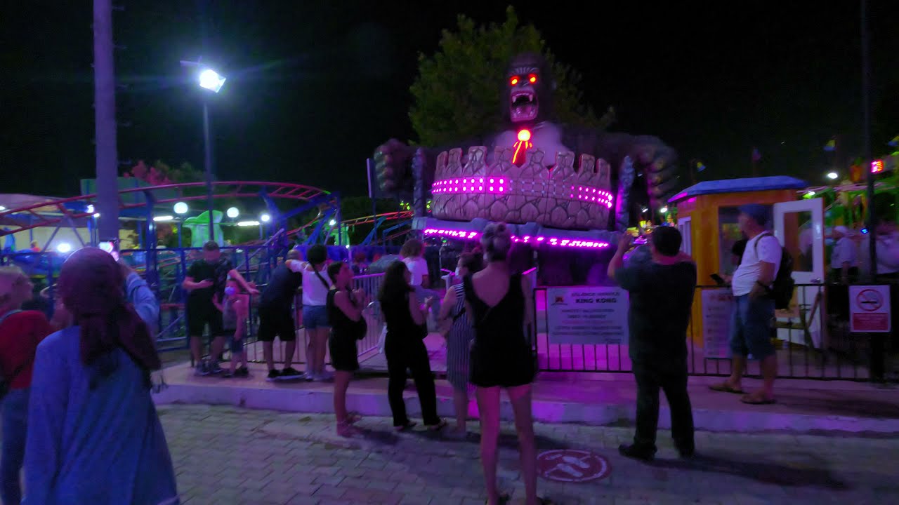 Pure Joy After Dark: Our Night at the Amusement Park