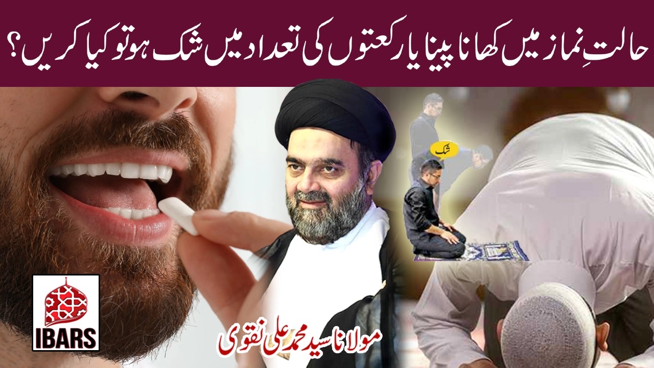 Halat e Namaz Main Khana Peena Ya Rakaton Ki Tadad Main Shak Hotu? | Maulana Syed Md Ali Naqvi