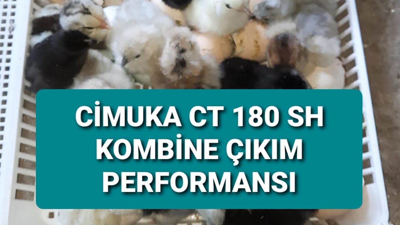 CİMUKA CT 180 SH KULUÇKA MAKİNESİ KOMBİNE YÜKLEMEDE 9 TEMMUZ 2020 ÇIKIM PERFORMANSI
