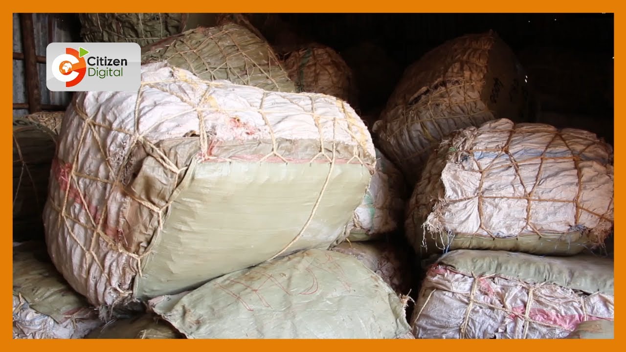 Traders in Busia stuck with 200 tonnes of fish for export