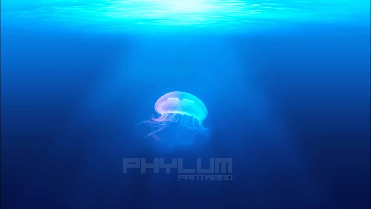 Fantazmo - Phylum