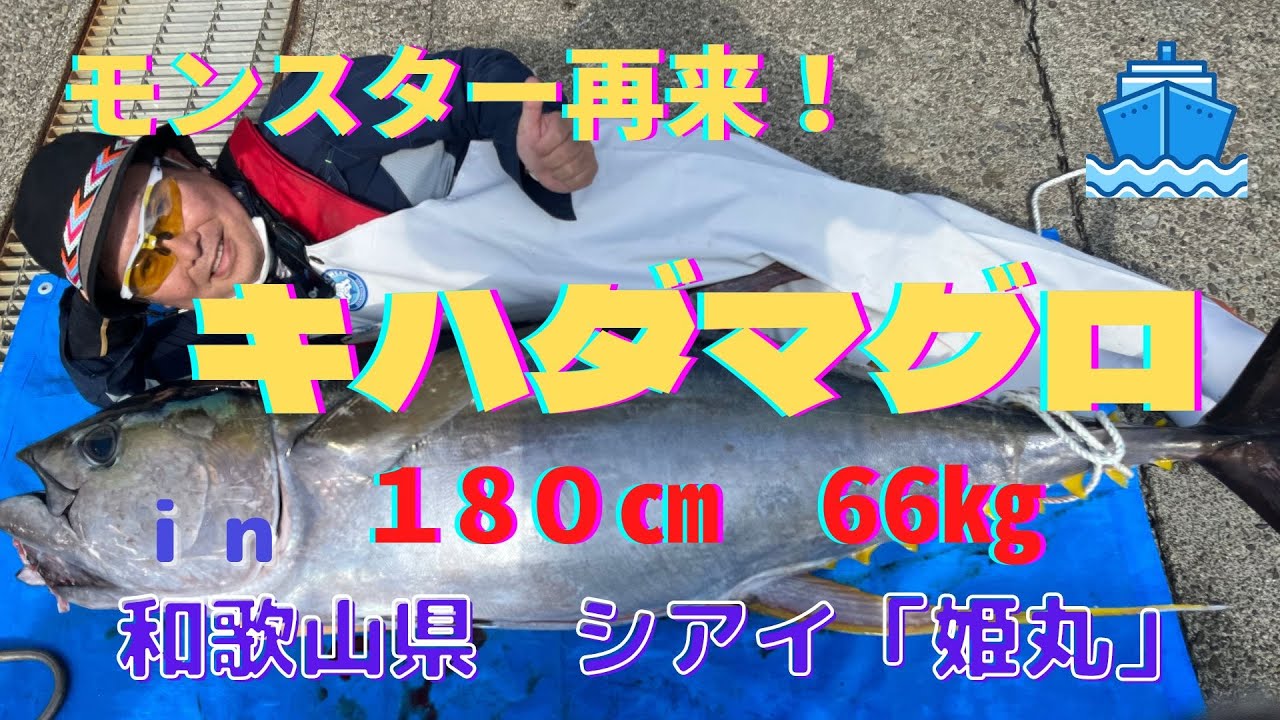 【キハダマグロ釣り】モンスター再来！　和歌山の串モンが熱い！