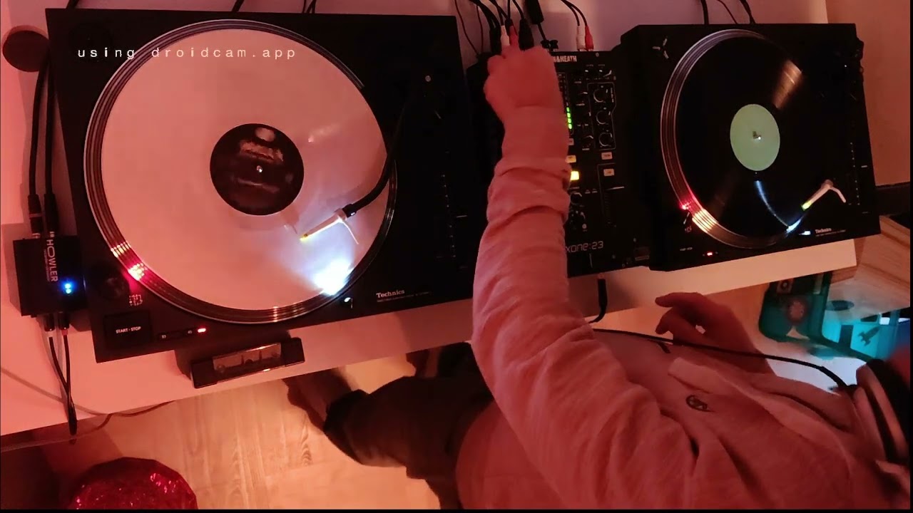 The Year of the Snake | #vinylmix #deephouse #minimaltechhouse #breaks #vinyl