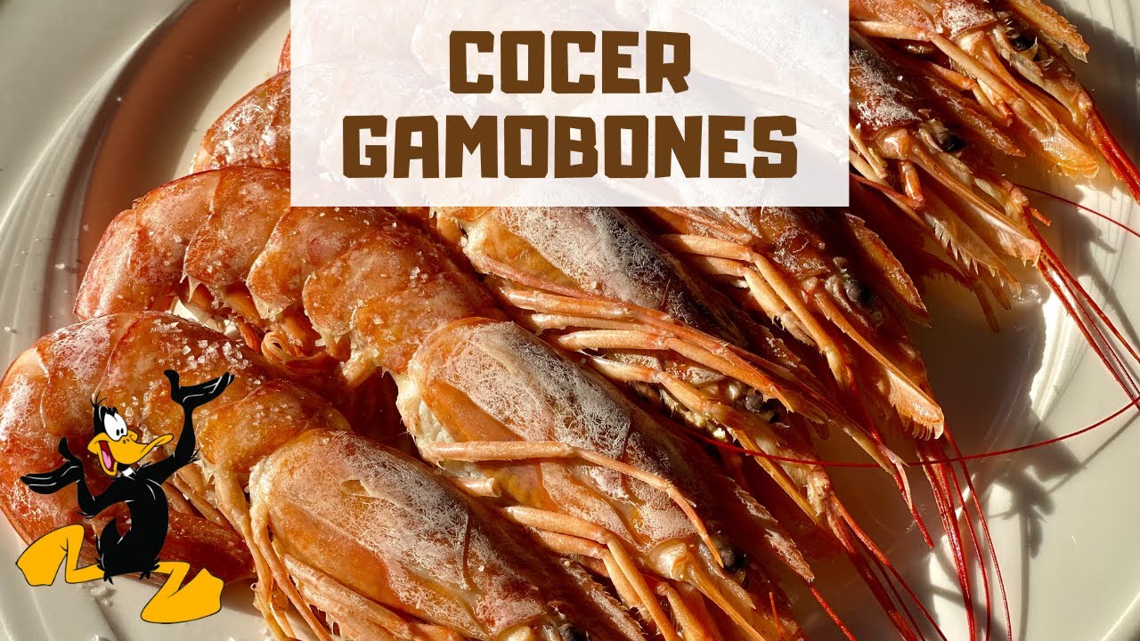 3 TRUCOS para Cocer Gambones 🦐 ¡RECETA CON GAMBONES!