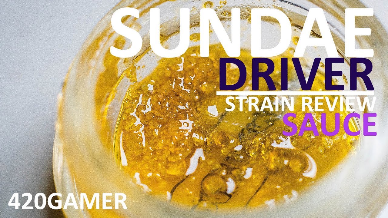 Sundae Driver Strain Review 🍾 - Live Resin Sauce - Quail Extracts #weedtube