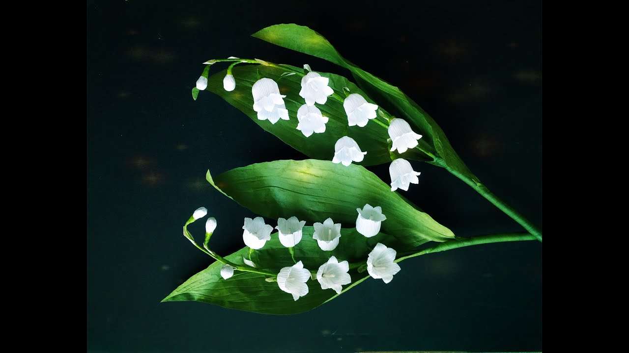 Lily Of The Valley From Crepe Paper - Craft Tutorial
