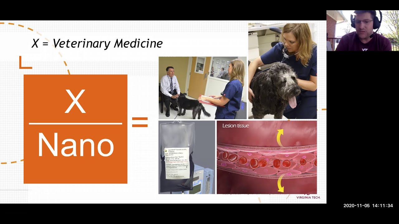 X/Nano: The Enabling Potential of a Career in Nanoscience