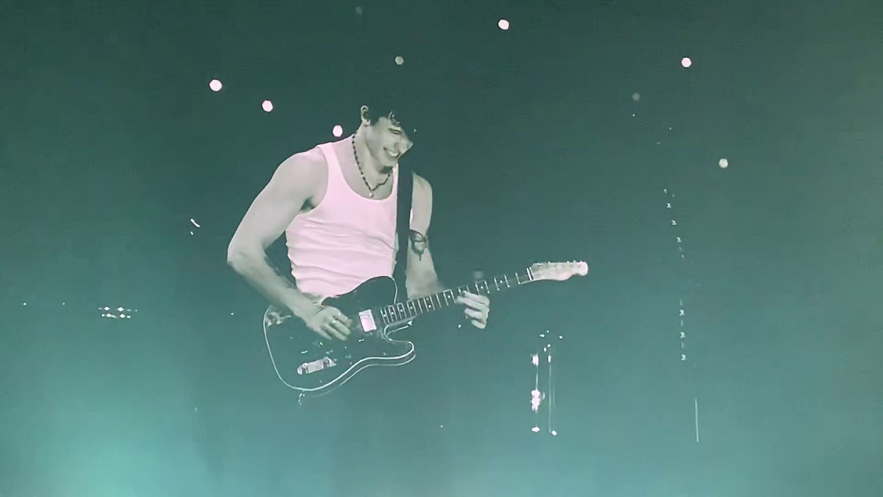 Ruin- Shawn Mendes Shawn Mendes Tour Toronto