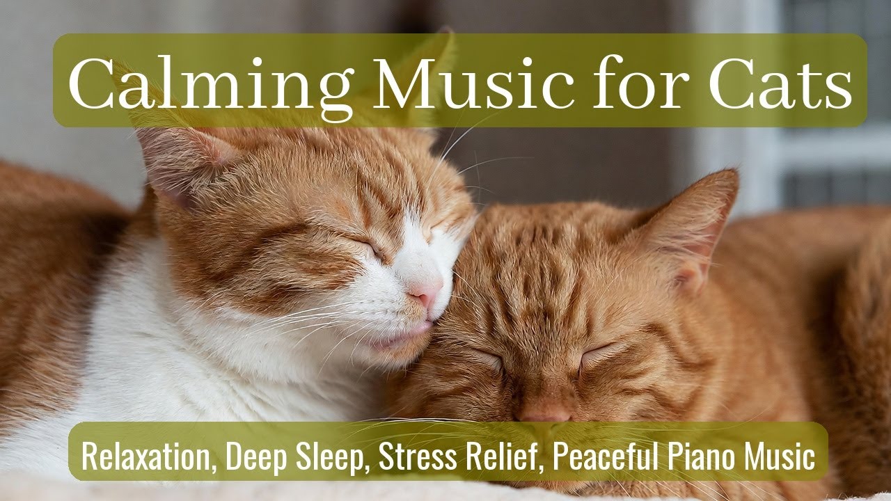 Calming Music for Cats - Relaxation, Deep Sleep, Stress Relief, Peaceful Piano Music | Season 25