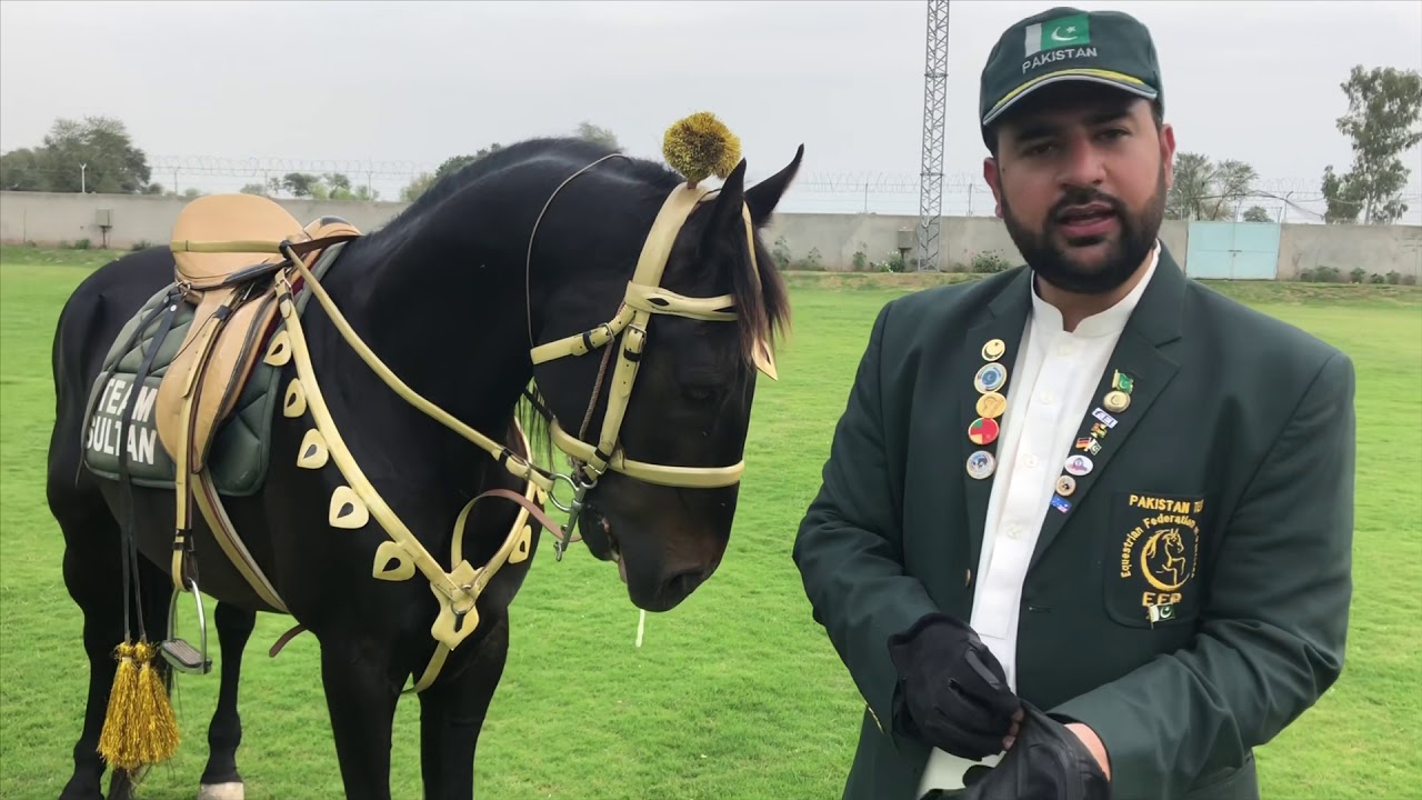 Tent Pegging rules and regulations
