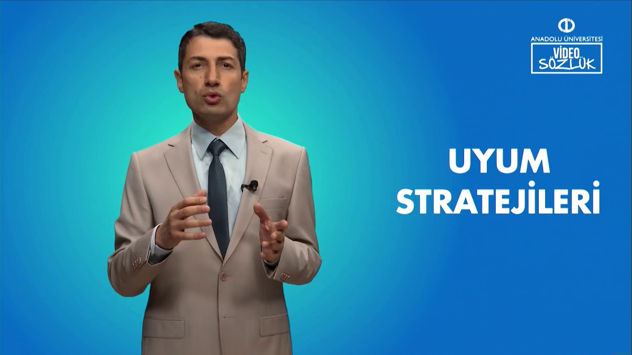UYUM STRATEJİLERİ