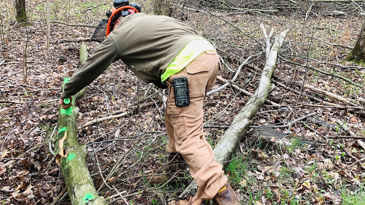 Обзор маркера Mingo: Зак тестирует свой новый маркер для дров