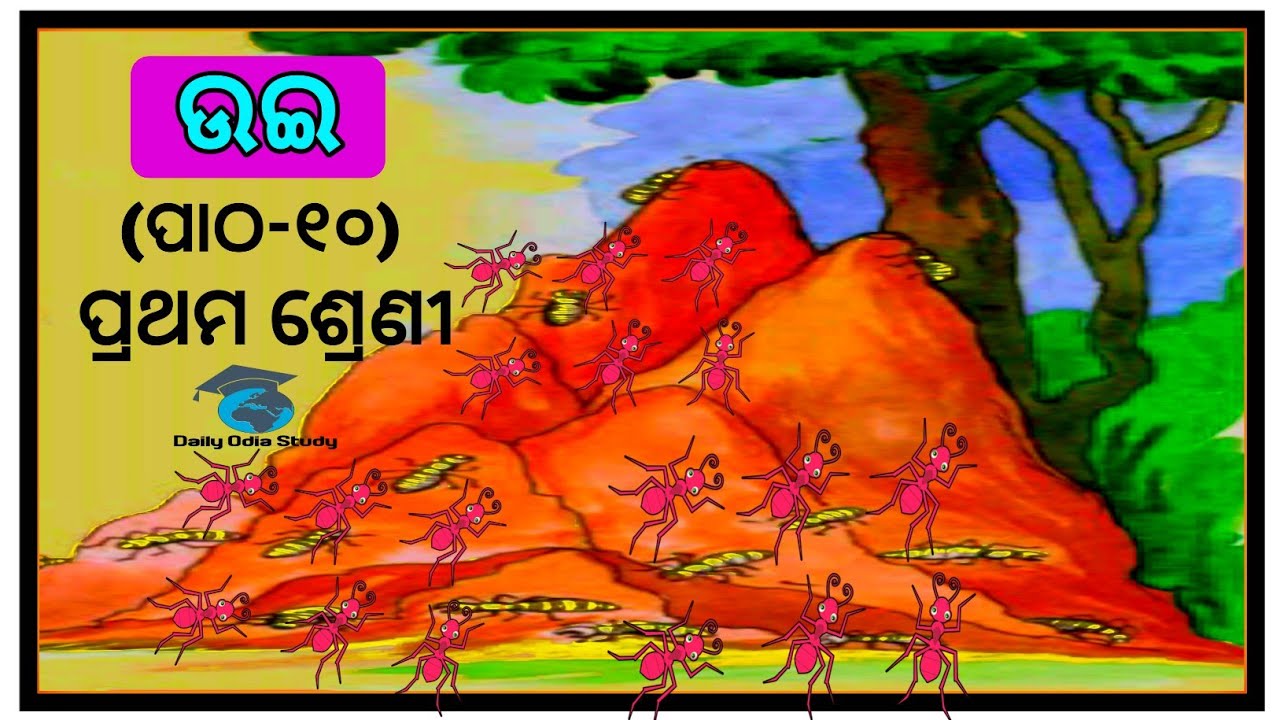 Uei!(ଉଇ)!class 1! chapter-10!Hasa khela! Daily odia study! odia medium class! Primary school
