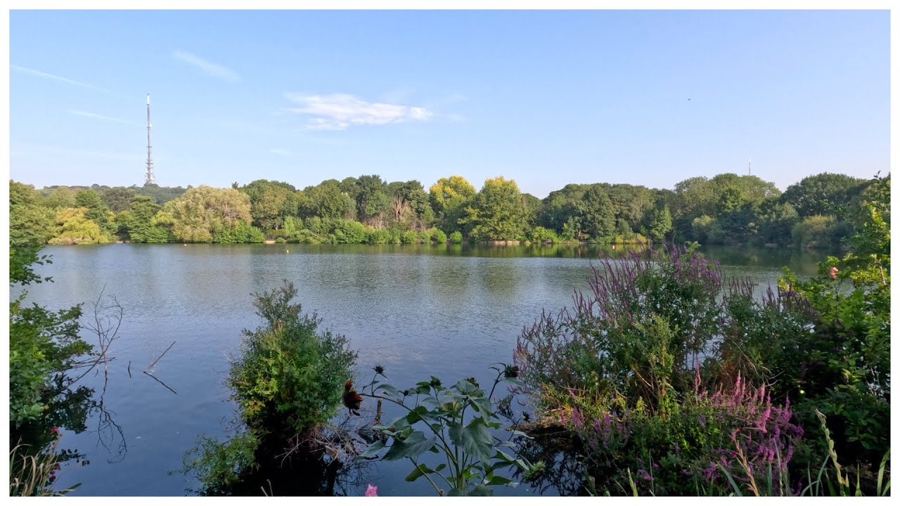 South Norwood Lake - history and beauty, combined