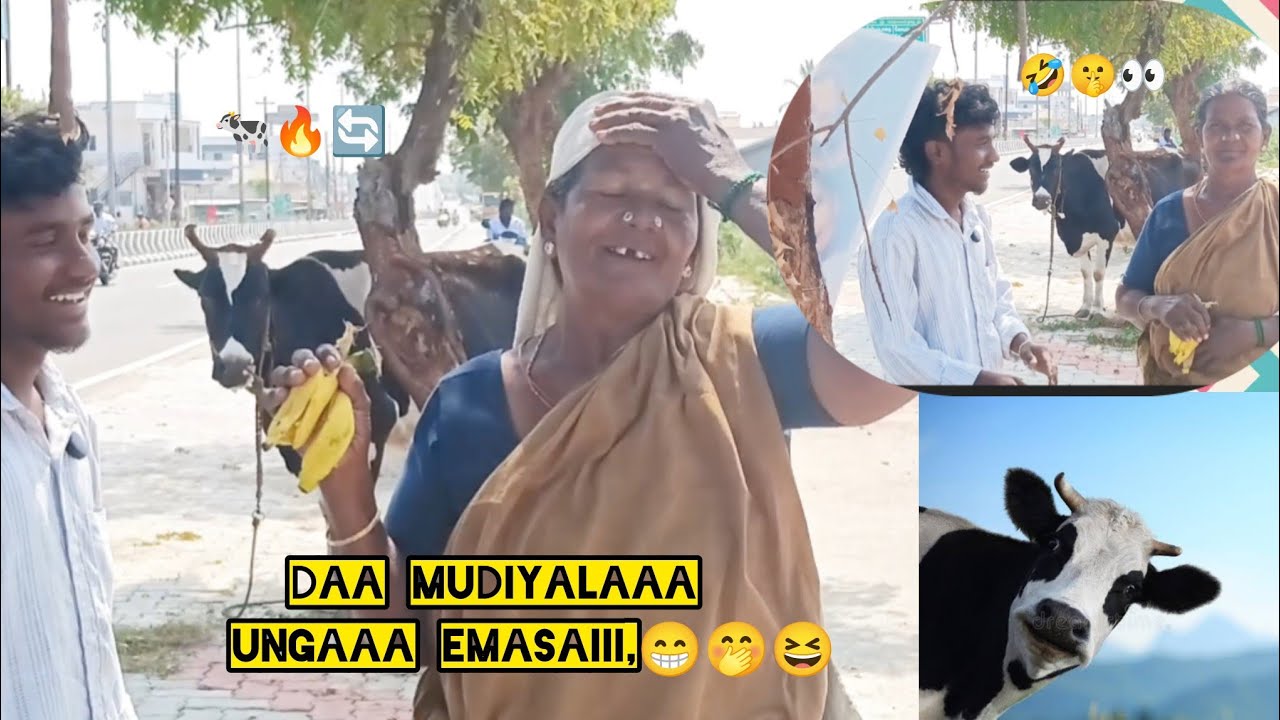 😝𝙩𝙬𝙞𝙨𝙩 💥𝙩𝙤👀 𝙚𝙣𝙙😳Cow🤫 பரிதாபங்கள்🤣𝙮𝙖𝙖𝙖 𝙢𝙖𝙙𝙪𝙪 𝙠𝙪𝙪 𝙚𝙣𝙣𝙣𝙖 😁#comedy#funny#tamilcomedy #entertainment#cow 