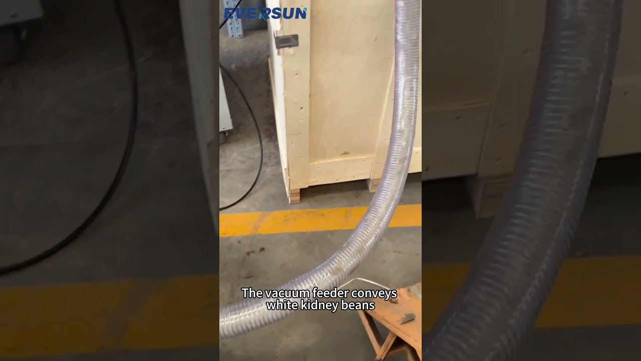 The vacuum feeder conveys white kidney beans#Vacuum feeder#Vacuum conveyor#Material conveying