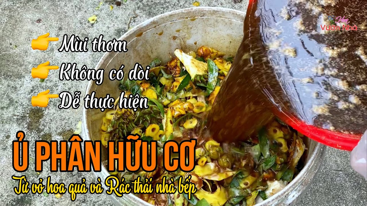 Ủ phân hữu cơ từ vỏ hoa quả và Rác thải nhà bếp