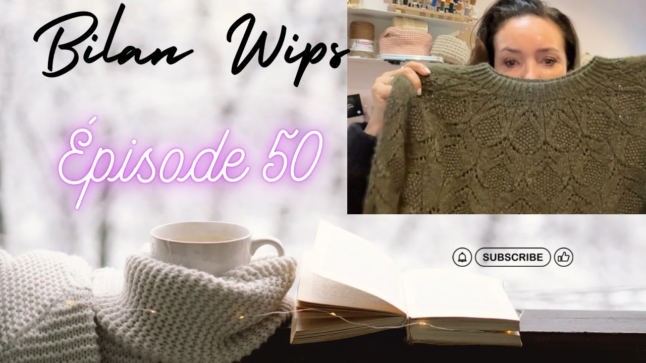 Épisode 50  bilan janvier et avancées des Wips!
