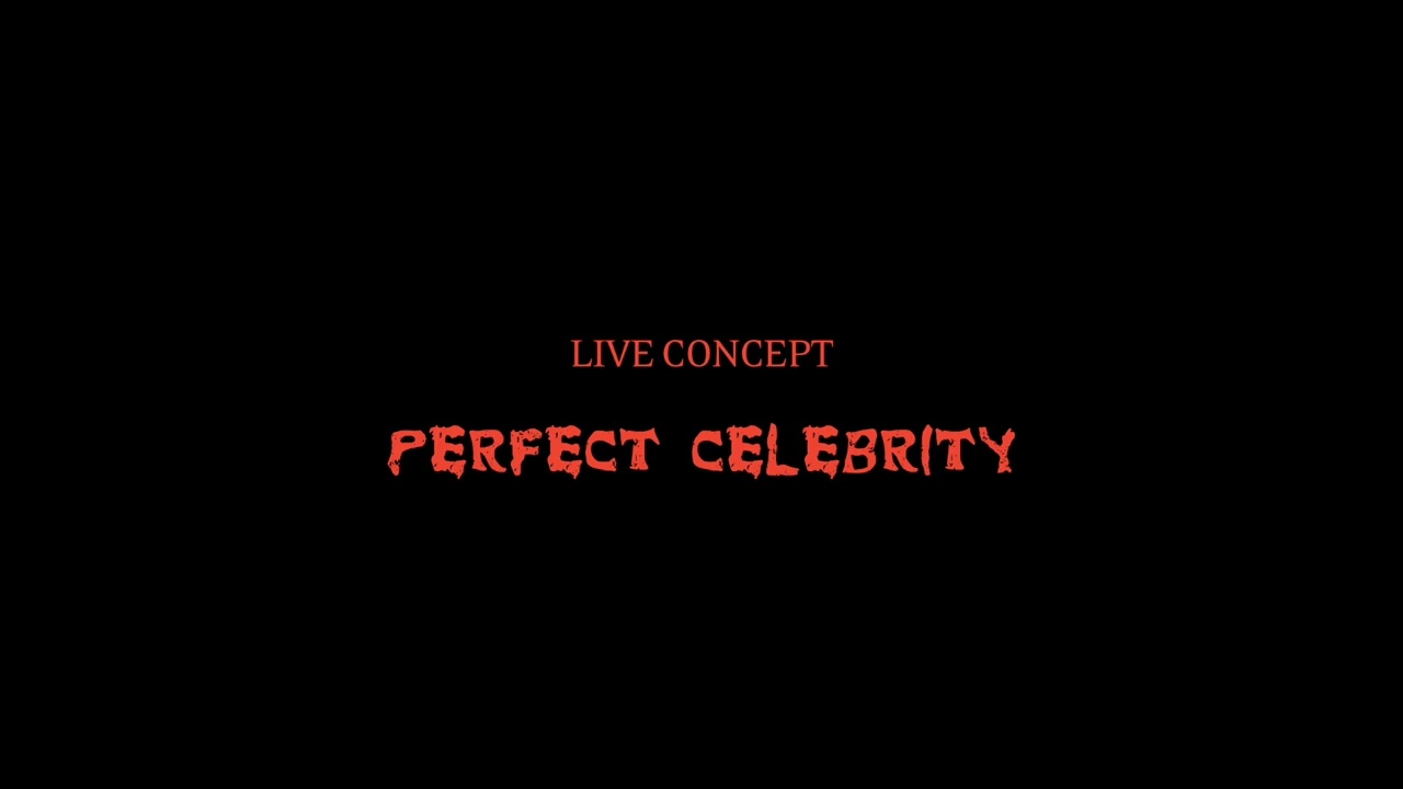 Lady Gaga - Perfect Celebrity (Live Concept)