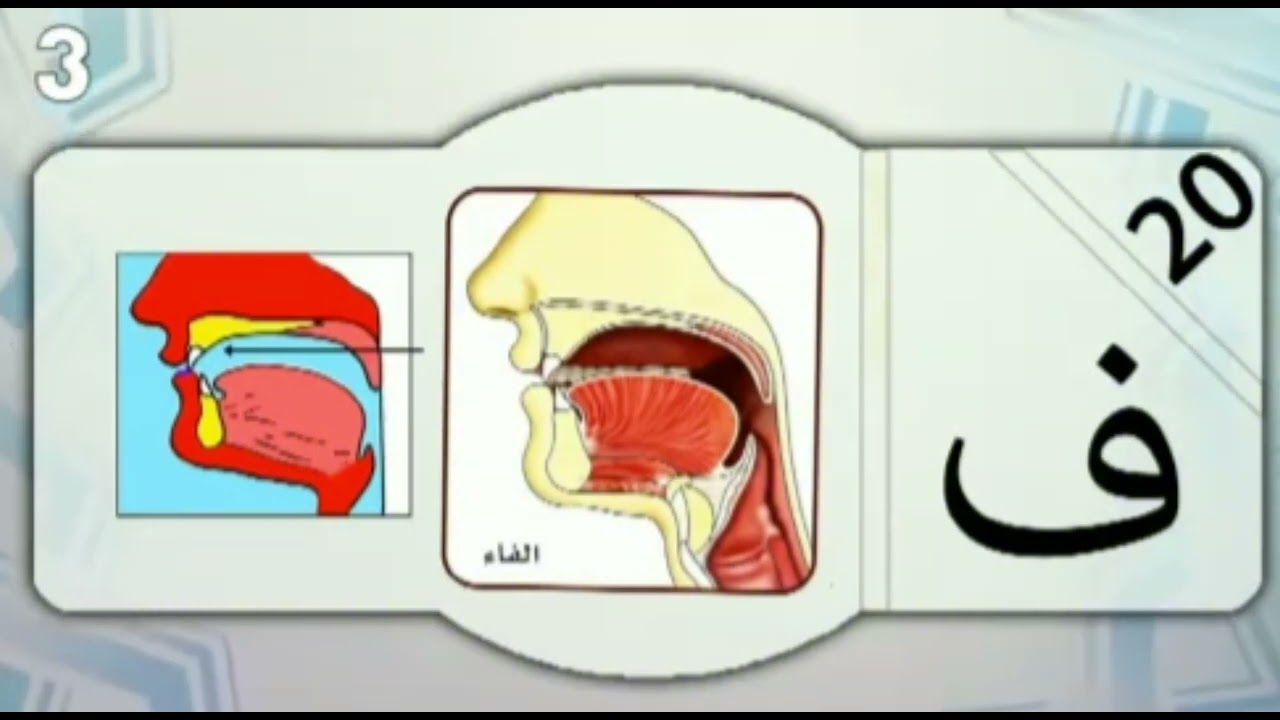 مخارج الحروف ٣ :الأستاذ الفاضل عبد القادر ابو بانة
