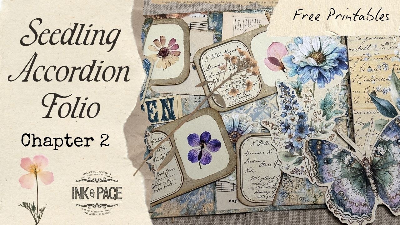 The Seedling Folio 🌱 Chapter 2 🌱 Easy Accordion Folio with Free Printables & Step-by-Step Tutorials!