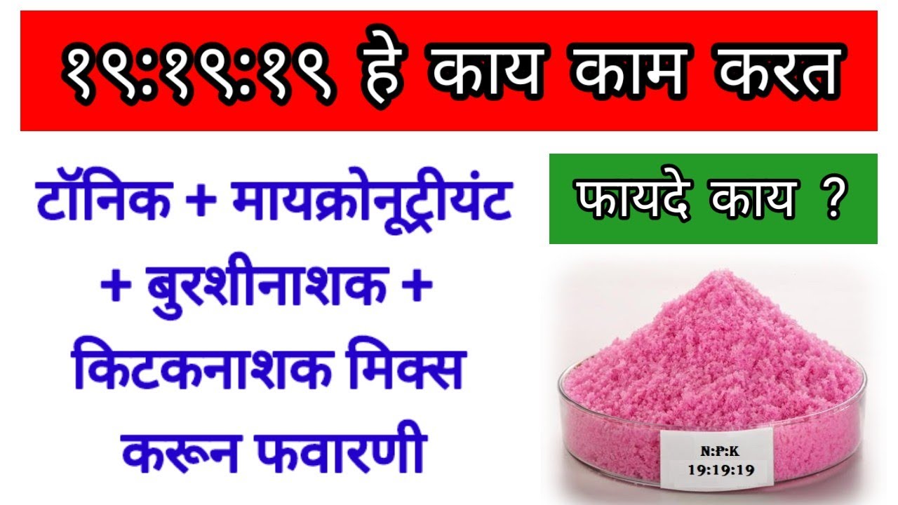 19:19:19 विद्राव्य खत | संपूर्ण माहिती l npk 19 19 19 fertilizer #npk #191919 #1919