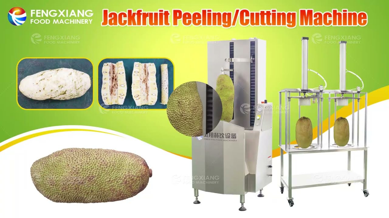 Automatic Jackfruit Peeling &Segmenting Machine |High Yield Processing Line#jackfruit #foodmachinery