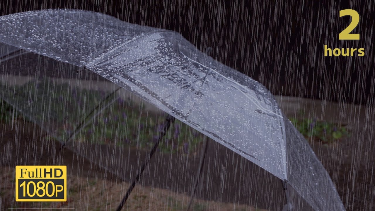 傘に当たる雨の音でリラックスする２時間