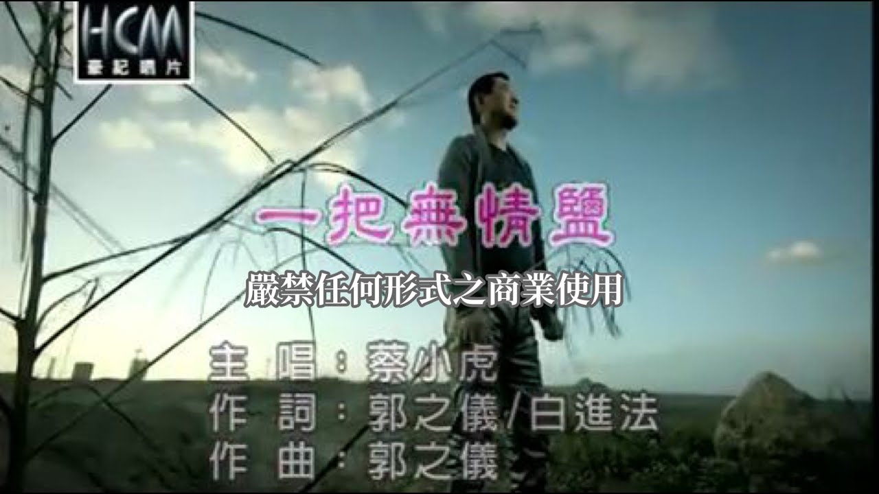 蔡小虎-一把無情鹽(官方KTV版)