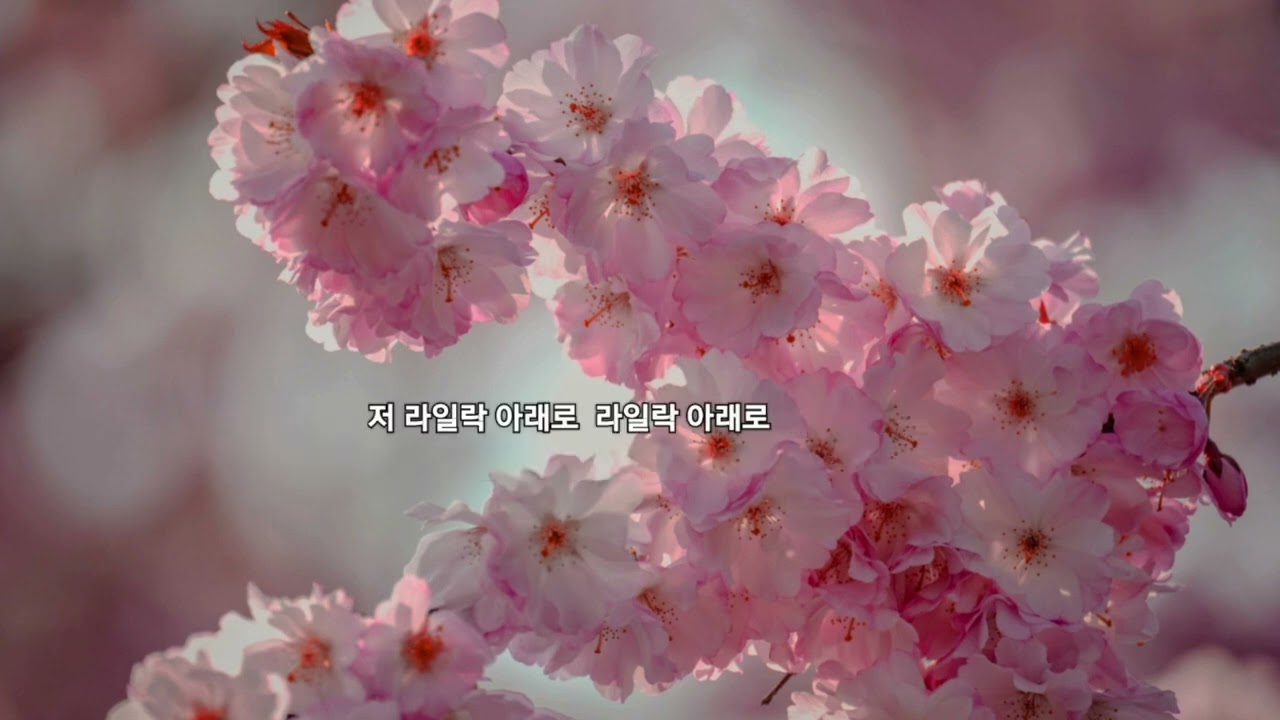 4월의 노래/노천명 