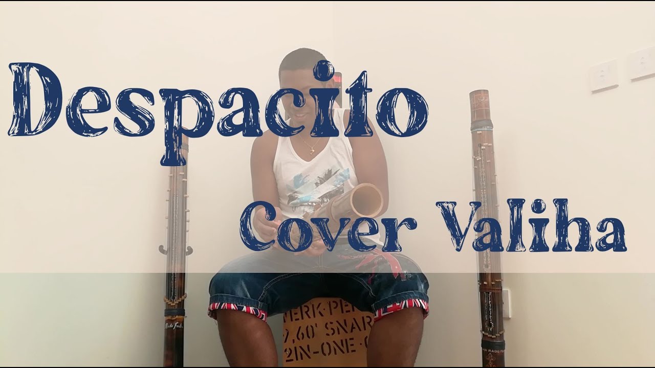Despacito - Luis fonsi  | Cover  Valiha by Rado Fentsu