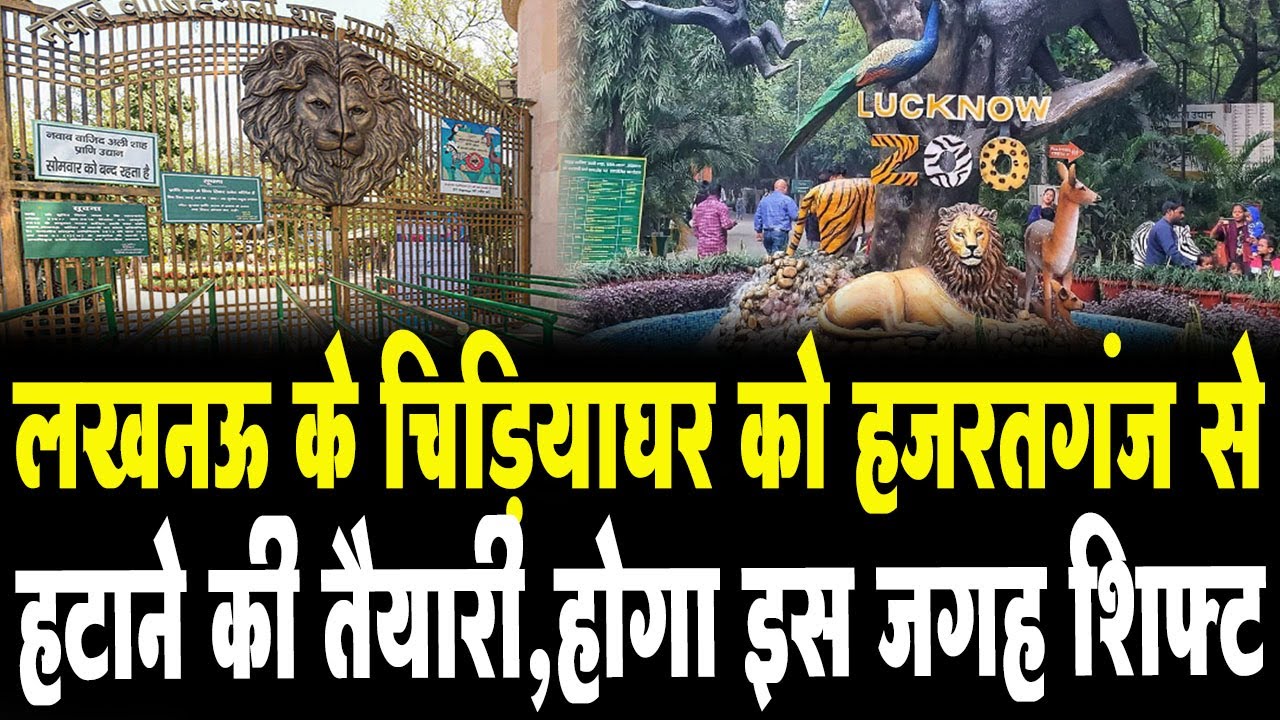 Lucknow Zoo News: Lucknow के चिड़ियाघर को Hazratganj से हटाने की तैयारी, होगा इस जगह शिफ्ट